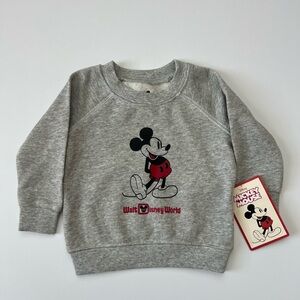 Disney World Gray Baby Crewneck 6-9 months